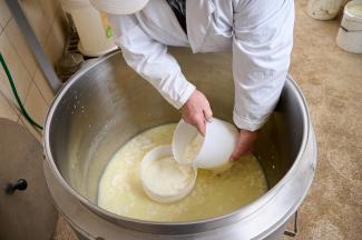 Pridelava mohanta. Foto: T. Jeseničnik, 2021