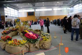 Foto: A. Jerin, 2019 