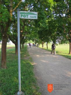 Foto: Anja Jerin, 2016. 