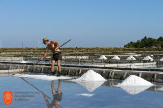Foto: Luka Kastelic, 2013. 