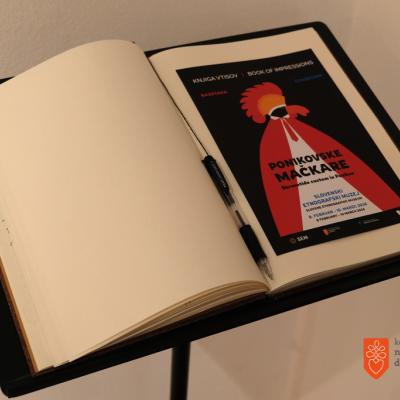 Ponikovske mačkare. Foto: A. Jerin, 2024