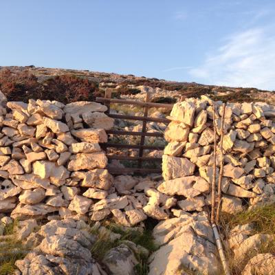 Suhi zid, foto: M. Špiček, 2018